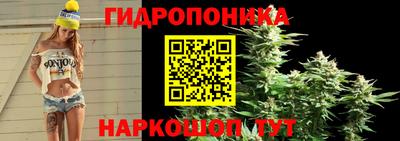 ешки Шали