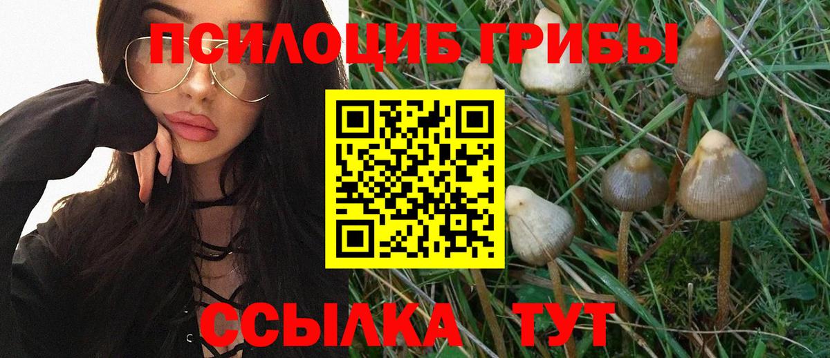 Богданович  Галлюциногенные грибы Magic Shrooms  дарнет шоп  Вход с VPN 