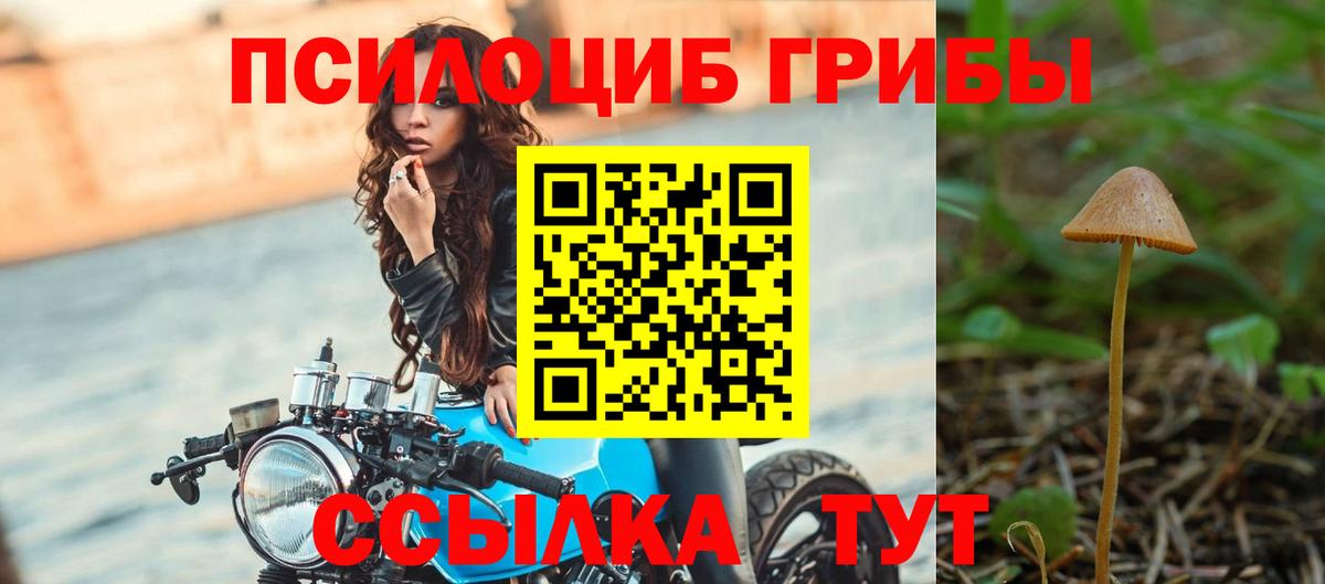 наркота  Богданович  Галлюциногенные грибы мицелий 