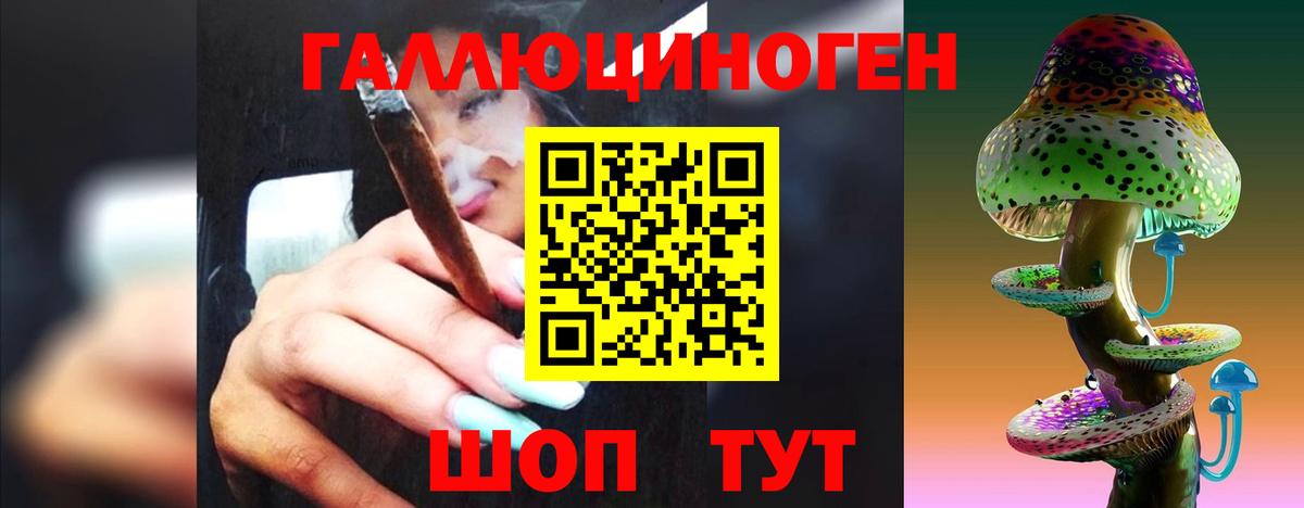 Псилоцибиновые грибы мицелий Богданович